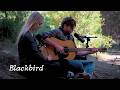 Blackbird - The Beatles (Cover by Jack &amp; Daisy)