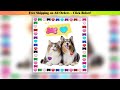 100PCS Wholesale Pet Collar Identity With Diamond Tag Cat ID Personality Tag Laser Engraving Name