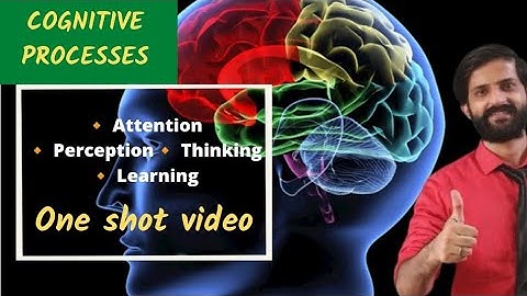 Psychology| Class 12 |Chapter 4 | Cognitive Processes |Attention Perception Memory Learning Thinking