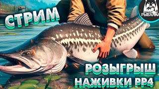 Русская рыбалка 4 🌎Раздача на 34 банке!!!!🐠Катушка Gold 60s , премы ,гн в рулетке!!🔥