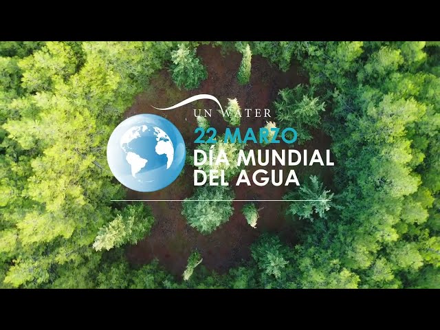 Día Mundial del Agua 2022. Hacer visible lo invisible