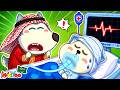 بيرِي وحده في المستشفى ⭐ بيرِي مريض @wolfooinarabic