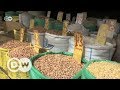 Zimbabwean seed banks for food security | DW English