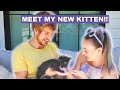 Adopting A Blind Kitten from Joey Graceffa!