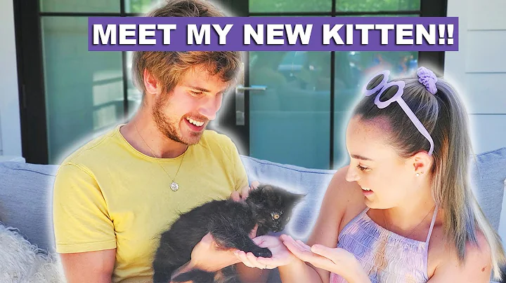 Adopting A Blind Kitten from Joey Graceffa!