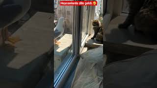 Kıyamam Bi Kahveleri Eksik.🥰