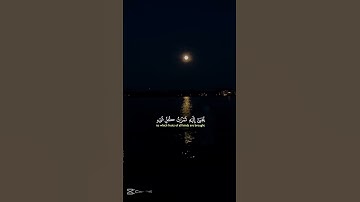 سورة القصص من الآية 55-58 بصوت ياسر الدوسري