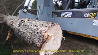 Skid Steer Tree Shear by Bigfoot Enterprises 1,861 views 5 years ago 2 minutes, 3 seconds