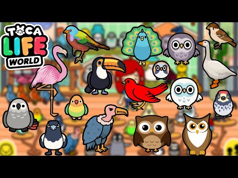 ВСЯ КОЛЛЕКЦИЯ РЕДКИХ ПТИЦ в ТОКА БОКА! ГДЕ НАЙТИ ФЛАМИНГО? 😱 Toca Life World