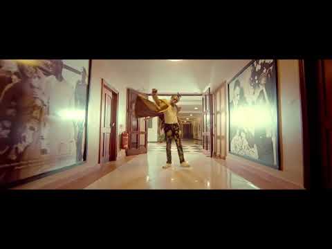 Dogo Janja Wayu Wayu Official Video 