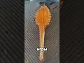 Вот почему хрусталь так ценят!!!