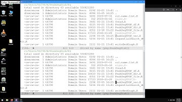 Developing R packages in Emacs Speaks Statistics