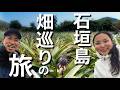 キャンピングカーなしの石垣島、畑巡り夫婦旅
