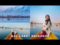 Dal lake  srinagar  jan 2022