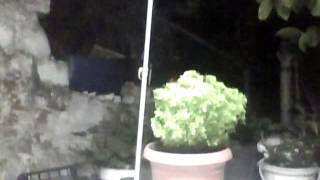 Capture 20140619 1