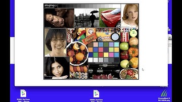MAC: Install Virtuoso SG800 Sublimation Printer with Conde Photo Settings