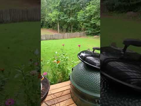 Ribs on the