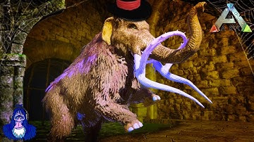 BRAND NEW DUNGEON! DECAYING HALLS OF DESPAIR | !patron