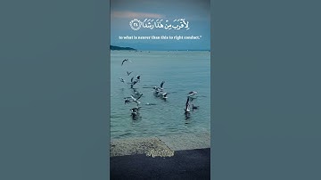 وَلَا تَقُولَنَّ لِشَيْءٍ إِنِّي فَاعِلٌ ذَٰلِكَ غَدًا)سورة الكهف #قران_كريم #qurankarim#تلاوة_خاشعة
