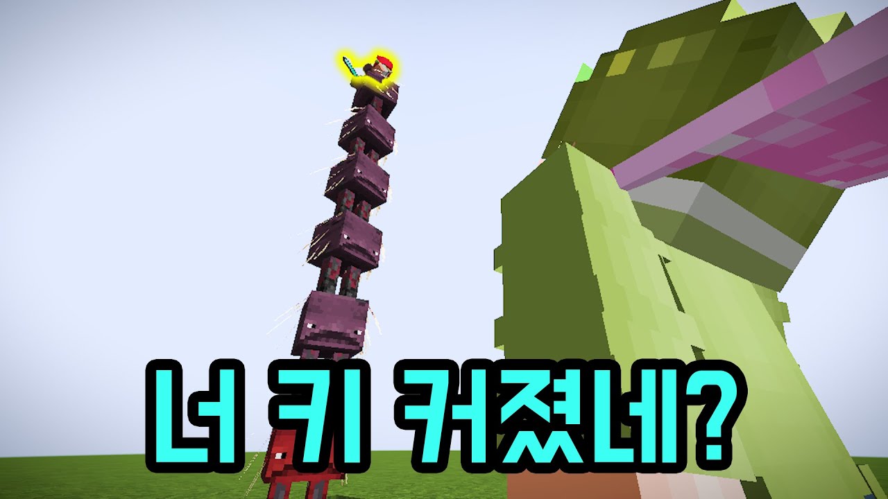 치사한 키 싸움