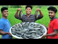 KING SIZE PEARL FISH FRY | karimeen Fish Fry in Village | Village Food