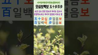 #143#오십보백보#유래#해설#사자성어#고사성어#한자공부#한문공부#중국어공부#다중언어#외국어학습#한자자격증#세계화대비#