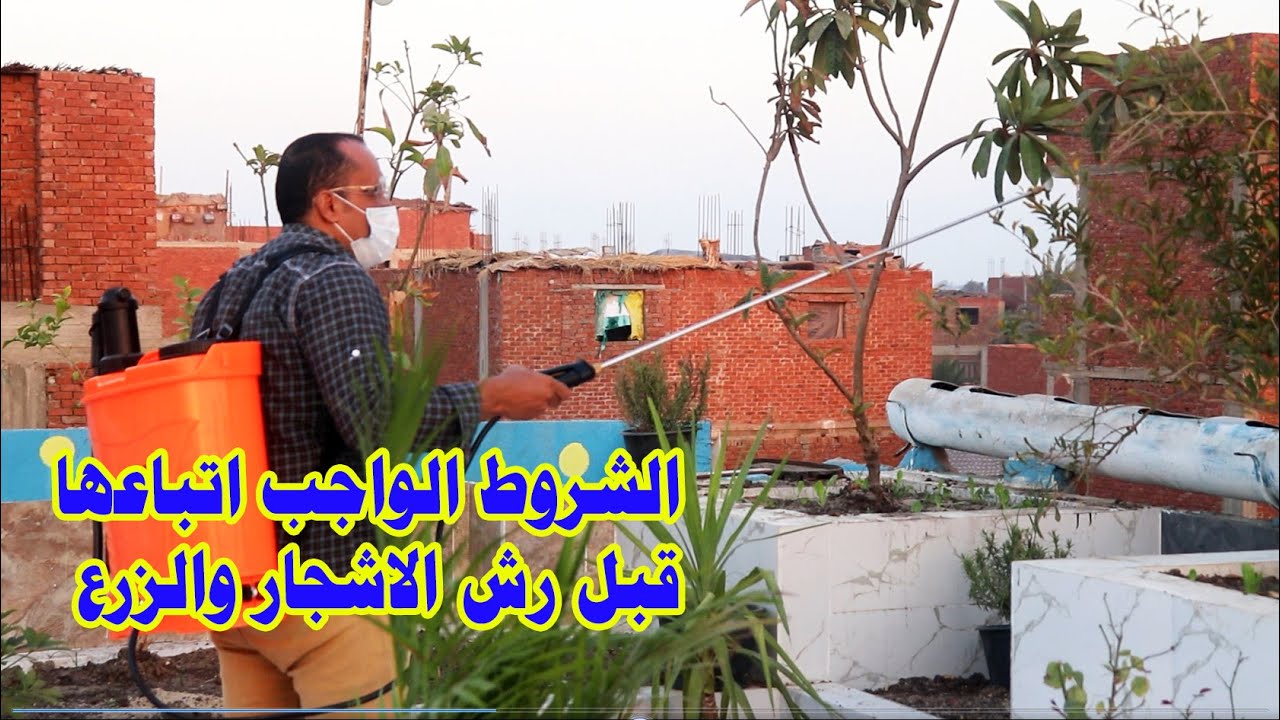 معلومات مهمة جدا لازم تعرفها قبل استخدام المبيدات  لرش الاشجار حتي تتجنب خسارة زرعك