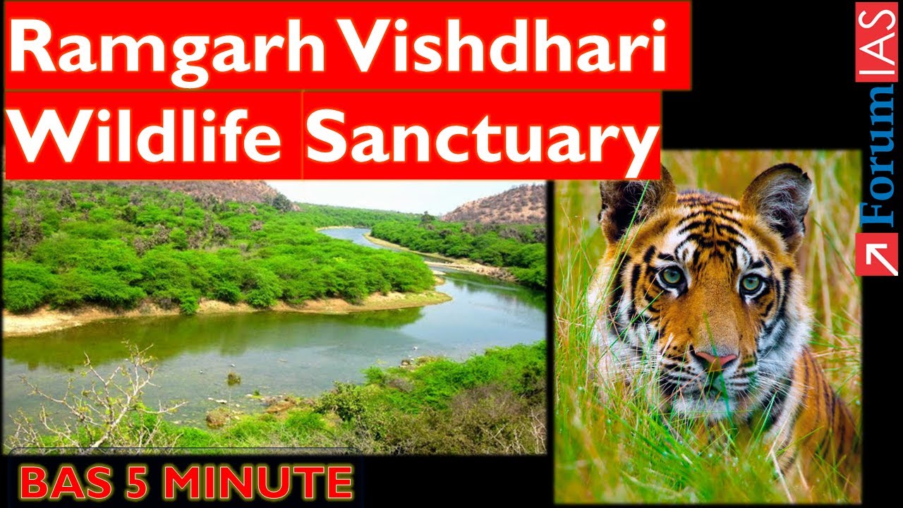 Ramgarh Vishdhari Wildlife Sanctuary | ​​India’s 52nd Tiger Reserve | Bas 5 Minute | ForumIAS