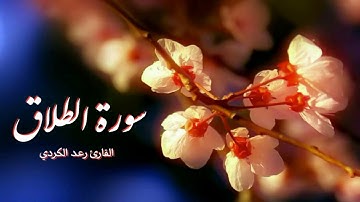 سورة الطلاق - تلاوة هادئة وخاشعة للقارئ رعد الكردي