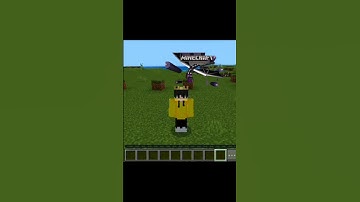 minecraft but if you suscribe i get random items #minecraft #subscribe