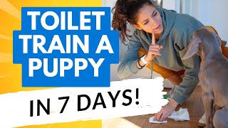 Can You Toilet Train Your Puppy in Just 7 Days?