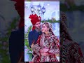 Ambani weeding cost #ambaniweeding #mukeshambani #billionaire #networth #shorts