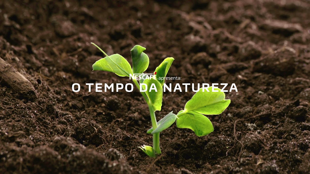 Nescafé apresenta: Tempo da Natureza - YouTube