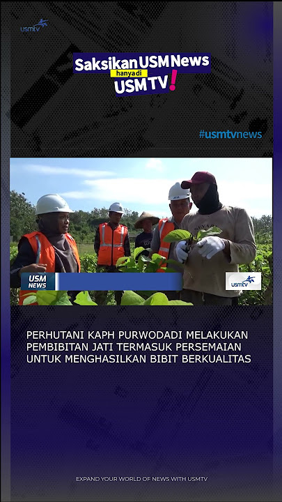 Nursery by KAPH Purwodadi#usmnews #usmtv #perhutanipurwodadi #teak nursery