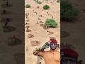 Millions of Trees Are Changing Burkina Faso Forever#shorts#ibrahimtraoré#burkinafaso