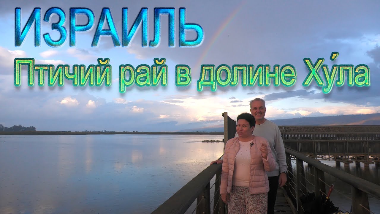 Святая Земля| Израиль. Птичий рай в долине Хула | Israel | A bird's paradise in the Hula Valley
