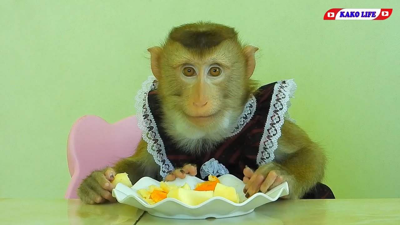 Cute Little Princess Luna Eating Fruits In Plate