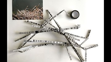 Introduction to Using Paper as a Sculpting Material