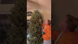 This tool set makes prepping Christmas trees quick & satisfying #christmas  #christmastree
