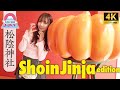 【森脇梨々夏】Cutie Walk JAPAN【Shoinjinja-mae Edition】