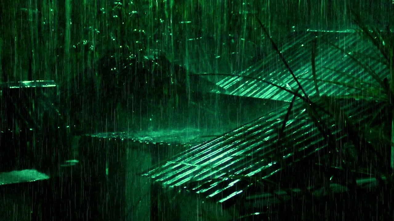 Rain and thunder sounds to help you fall asleep quickly 😪😪😪 Instant sleep, relaxing rain