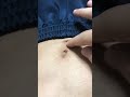 肌色注意 HOTLIMIT 肌色注意 HOTLIMIT