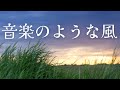 音楽のような風 / EPO アコースティック ボーカル&amp;ギター