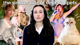 Taylor Swift's Cats & The Corruption of Celebrity Pets by Totally Forkable 2,360 views 5 months ago 16 minutes