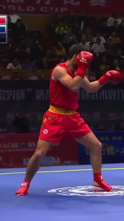 Sanda sanshou real fight highlights #sanda   #wushu #wushusanda #kungfu #mma #fight