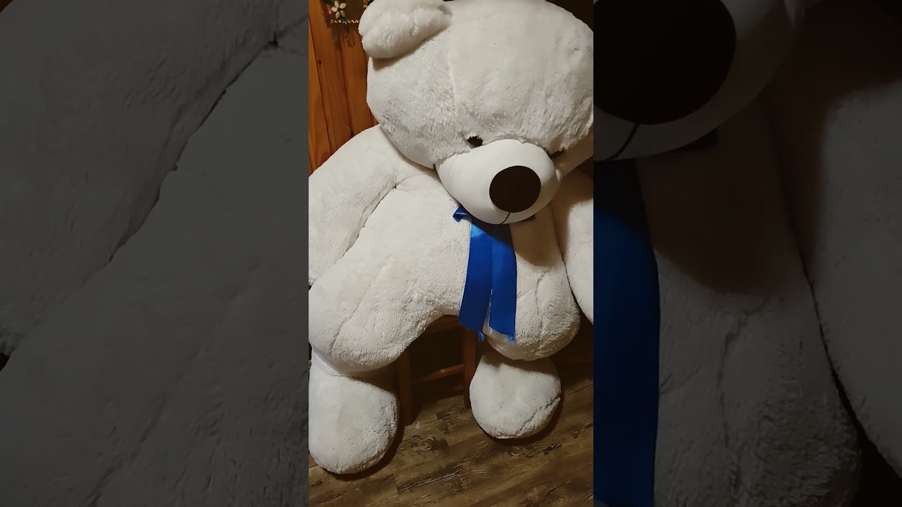 6 февраля 2026 г.