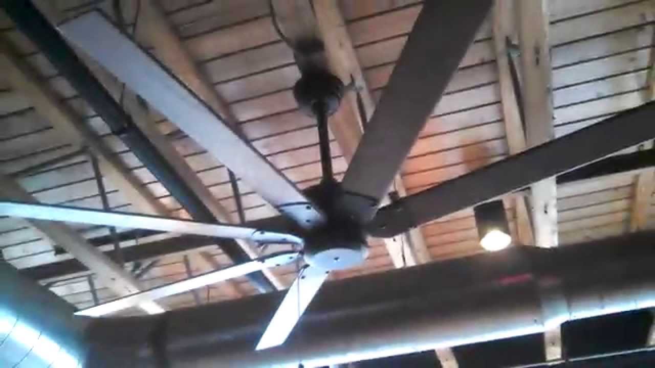 Fanimation Levon Ceiling Fans In A Restaurant Youtube