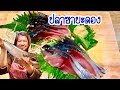ปลาซาบะดอง ซิเมะซาบะ อร่อยทําง่ายๆอาหารญี่ปุ่นทํากินเองที่บ้านได้ค่ะ!!