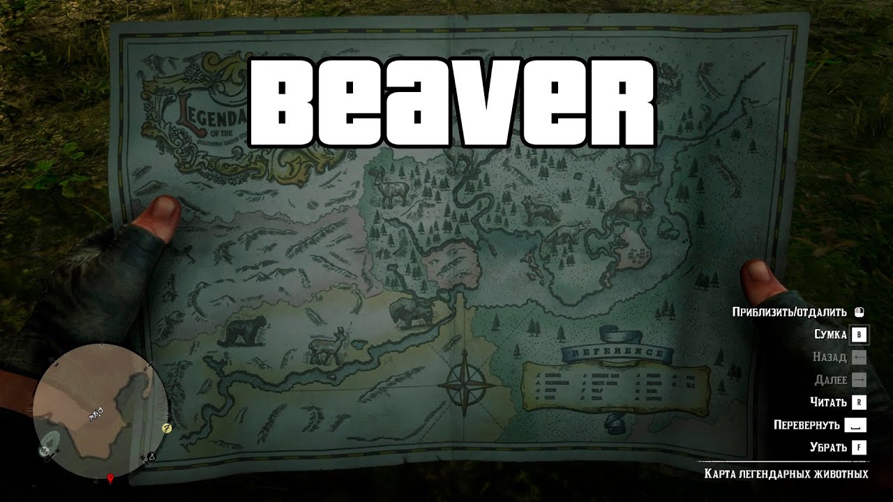Red Dead Redemption 2 Legendary Beaver hunting YouTube