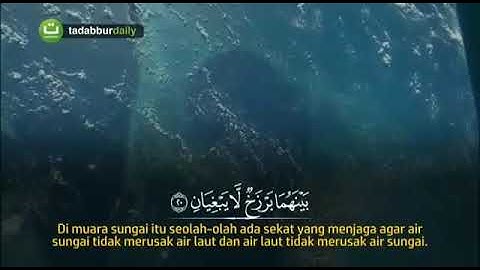 سورة الرحمن الايات 20 - 30 مع تكرار للحفظ